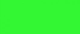 Day-glo fluo groen 100 g/m² 650 x 915 mm BL