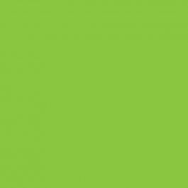 Clairefontaine Trophee fluo groen 2055 80 g/m² 450 x 640 mm LL