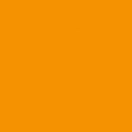 Clairefontaine Trophee fluo oranje 2068 80 g/m² 450 x 640 mm LL