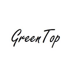 GreenTop 300 g/m² 320 x 450 mm BL