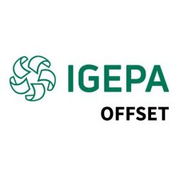 Igepa offset NI 80 g/m² 460 x 640 mm LL