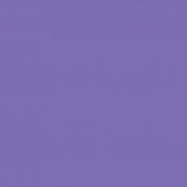 Clairefontaine Trophee intensief violet 1642 210 g/m² 450 x 640 mm LL