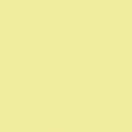 Clairefontaine Trophee pastel citroengeel 3030 80 g/m² 610 x 880 mm BL
