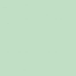 Clairefontaine Trophee pastel groen 2030 80 g/m² 650 x 920 mm LL