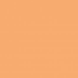 Clairefontaine Trophee pastel oranje 2044 160 g/m² 450 x 640 mm LL