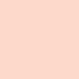 Clairefontaine Trophee pastel zalm 2143 120 g/m² 450 x 640 mm LL