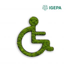 Igepa Mos icoon rolstoel 20 x 25 cm