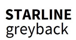Starline Greyback (GD2) NI 350 g/m² 720 x 1020 mm LL 475 µ