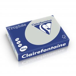 Clairefontaine Trophee pastel 160 g/m² lichtgrijs 1009 210 x 297 mm LL