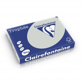 Clairefontaine Trophee pastel 160 g/m² lichtgrijs 1010 297 x 420 mm BL
