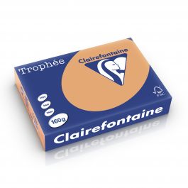 Clairefontaine Trophee pastel 160 g/m² mokkabruin 1102 210 x 297 mm LL