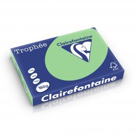 Clairefontaine Trophee pastel natuurgroen 160 g/m² 297 x 420 mm BL 1119