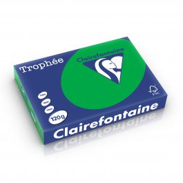 Clairefontaine Trophee intensief biljartgroen 120 g/m² 210 x 297 mm LL 1271