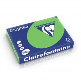 Clairefontaine Trophee intensief grasgroen 120 g/m² 210 x 297 mm LL 1293