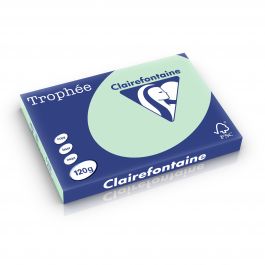 Clairefontaine Trophee pastel 120 g/m² groen 1376 297 x 420 mm BL