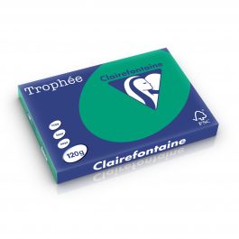 Clairefontaine Trophee intensief dennengroen 120 g/m² 297 x 420 mm BL 1384
