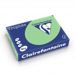 Clairefontaine Trophee pastel natuurgroen 80 g/m² 210 x 297 mm LL 1775