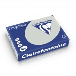Clairefontaine Trophee pastel 80 g/m² lichtgrijs 1993 210 x 297 mm LL