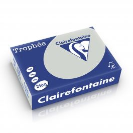 Clairefontaine Trophee pastel 210 g/m² lichtgrijs 2226 210 x 297 mm LL