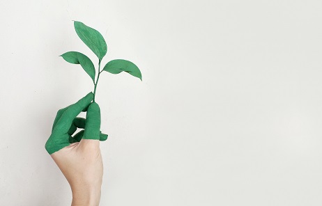 duurzaam verpakkingsmateriaal duurzaam verpakkingsmateriaal