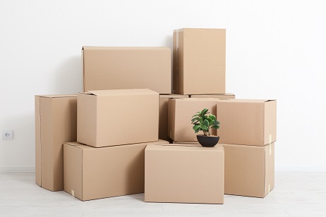 Standaard dozen assortiment Standaard dozen assortiment